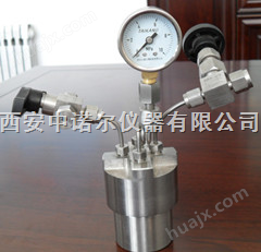 西安微型高压反应釜 微型高压反应釜厂家 微型高压反应釜报价