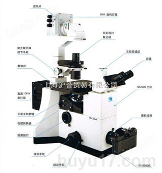 倒置荧光显微镜IBE2000