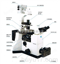 倒置荧光显微镜IBE2003